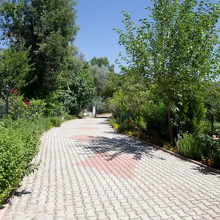 Дом отдыха Kemer Yayla House Ovacik (Kemer)